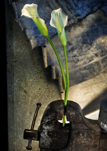 SPkalie Fot. Barbara Gorniak (mat.prasowe BCK)