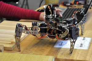 Robotic Arena 2011. Walki robotów we Wrocławiu