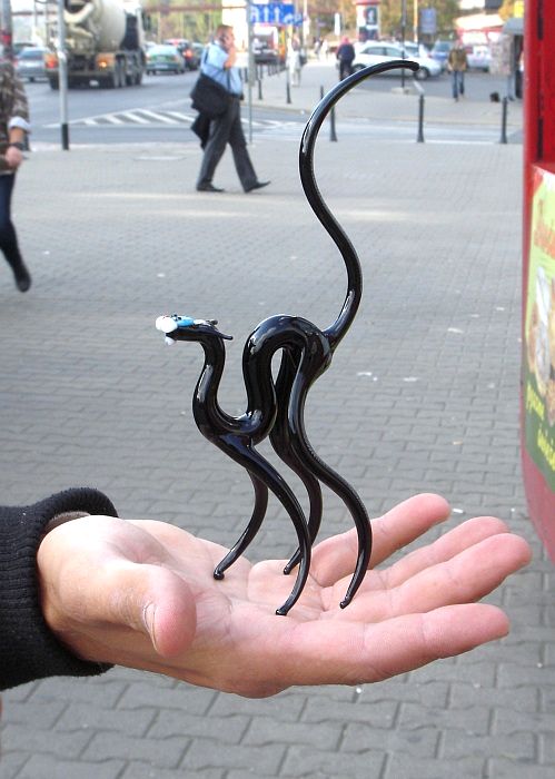 Finezyjna sylwetka czarnego kota przyciąga uwagę.